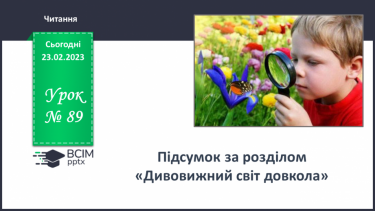 №089 - Підсумок за розділом «Дивовижний світ довкола».