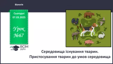 №67 - Середовища існування тварин. Пристосування тварин до умов середовища. №67 - Середовища існування тварин. Пристосування тварин до умов середовища.