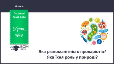 №09 - Яка різноманітність прокаріотів? Яка їхня роль у природі?