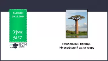 №37 - «Маленький принц». Філософський зміст твору