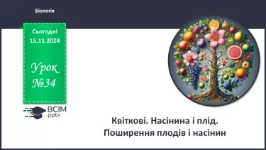 №34 - Квіткові. Насінина і плід. Поширення плодів і насінин.