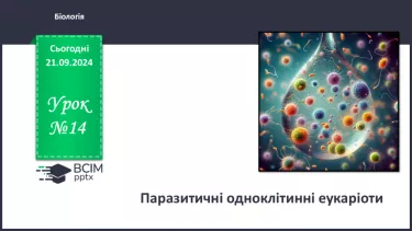 №14 -  Паразитичні одноклітинні еукаріоти.