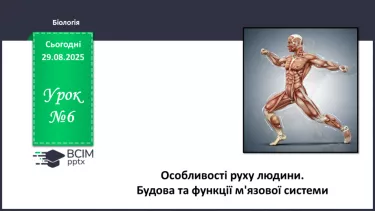 №006 - Особливості руху людини. Будова та функції м'язової системи. №006 - Особливості руху людини. Будова та функції м'язової системи.