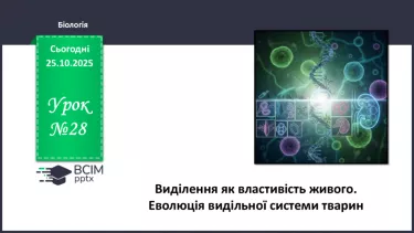 №028 - Виділення як властивість живого. Еволюція видільної системи тварин. №028 - Виділення як властивість живого. Еволюція видільної системи тварин.