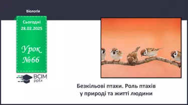 №66 - Узагальнювальні дослідницькі завдання. №66 - Узагальнювальні дослідницькі завдання.
