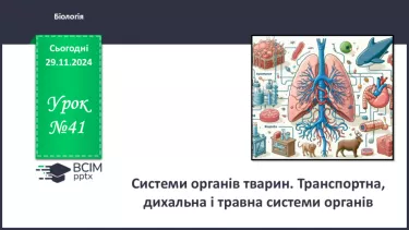 №41 - Система органів тварин. Транспортна, дихальна і травна системи органів.