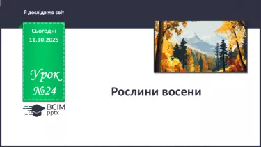 №024 - Рослини восени. №024 - Рослини восени.