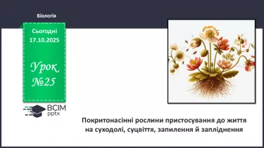 №025 - Покритонасінні рослини: пристосування до життя на суходолі, суцвіття, запилення й запліднення. №025 - Покритонасінні рослини: пристосування до життя на суходолі, суцвіття, запилення й запліднення.