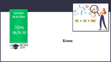 №29-30 - Білки. №29-30 - Білки.