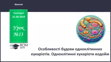 №13 - Особливості будови одноклітинних еукаріотів.