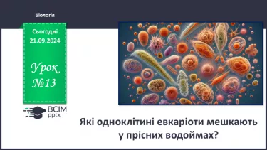 №13 - Які одноклітині евкаріоти мешкають у прісних водоймах?