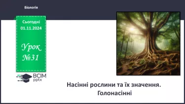 №31 - Насінні рослини та їх значення. Голонасінні.