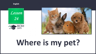 №024 - Where is my pet?