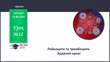 №012 - Лейкоцити та тромбоцити. Зсідання крові. №012 - Лейкоцити та тромбоцити. Зсідання крові.