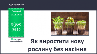 №039 - Як виростити нову рослину без насіння