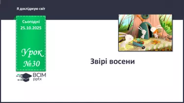 №030 - Звірі восени. №030 - Звірі восени.