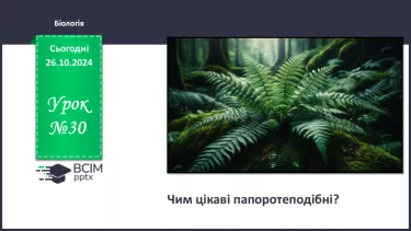 №30 - Чим цікаві Папоротеподібні?