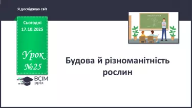 №025 - Будова й різноманітність рослин. №025 - Будова й різноманітність рослин.