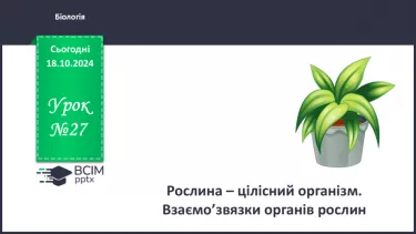 №27 - Рослина цілісний організм. Взаємозв'язки органів рослин.