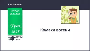 №028 - Комахи восени. №028 - Комахи восени.