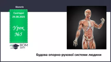 №005 - Будова, функції та особливості скелета людини. №005 - Будова, функції та особливості скелета людини.