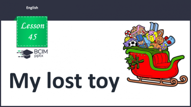 №045 - My lost toy