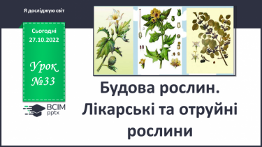 №033 - Будова рослин. Лікарські та отруйні рослини.