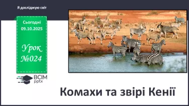 №024 - Комахи та звірі Кенії №024 - Комахи та звірі Кенії