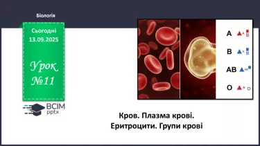 №011 - Кров. Плазма крові. Еритроцити. Групи крові №011 - Кров. Плазма крові. Еритроцити. Групи крові
