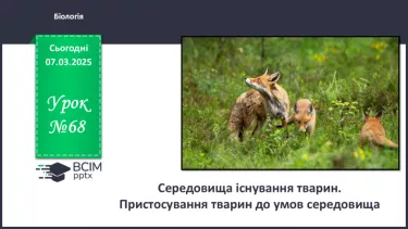№68 - Середовища існування тварин. Пристосування тварин до умов середовища (продовження). №68 - Середовища існування тварин. Пристосування тварин до умов середовища (продовження).