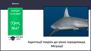 №47 - Адаптації тварин до умов середовища. Міграції (продовження).