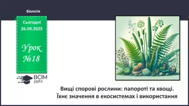 №018 - Вищі спорові рослини: папороті та хвощі. Їхнє значення в екосистемах і використання. №018 - Вищі спорові рослини: папороті та хвощі. Їхнє значення в екосистемах і використання.