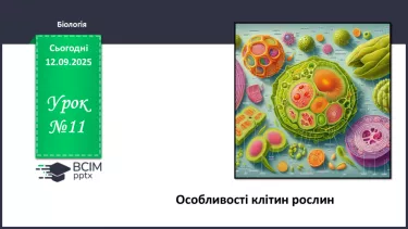 №011 - Особливості клітин рослин. №011 - Особливості клітин рослин.