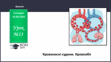 №013 - Кровоносні судини. Кровообіг. №013 - Кровоносні судини. Кровообіг.