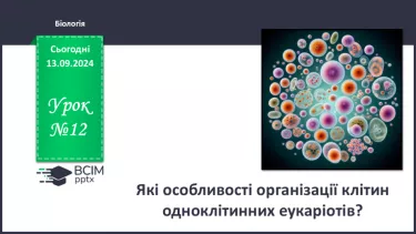 №12 - Які особливості оргнанізації клітин одноклітинних евкаріотів?