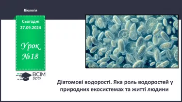 №18 - Діатомові водорості. Яка роль водоростей у природних екосистемах та житті людини