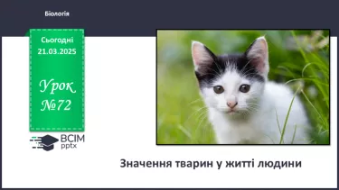 №72 - Значення тварин у житті людини. №72 - Значення тварин у житті людини.