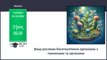 №20 - Вищі рослини багатоклітинні організми з тканинами та органами.