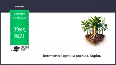 №21 - Вегетативні органи рослин. Корінь.