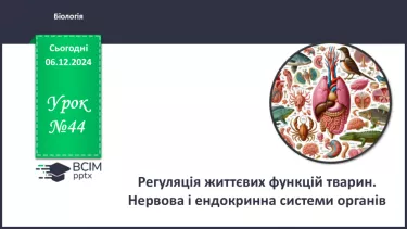 №44 - Регуляція життєвих функцій тварин. Нервова і ендокринна системи органів.