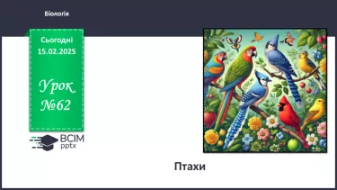№62 - Птахи. №62 - Птахи.