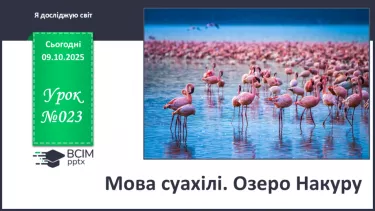 №023 - Мова суахілі. Озеро Накуру №023 - Мова суахілі. Озеро Накуру