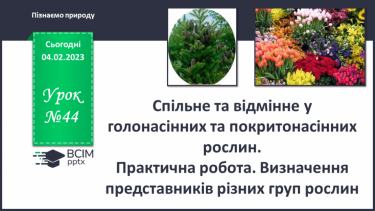 №44 - Спільне та відмінне у голонасінних та покритонасінних рослин. Практична робота. Визначення представників різних груп рослин.