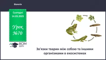 №70 - Зв'язки тварин між собою та іншими організмами в екосистемах (продовження). №70 - Зв'язки тварин між собою та іншими організмами в екосистемах (продовження).