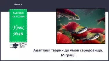 №46 - Адаптації тварин до умов середовища. Міграції