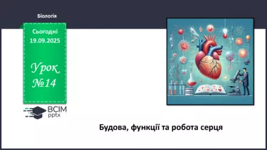 №014 - Будова, функції та робота серця. №014 - Будова, функції та робота серця.