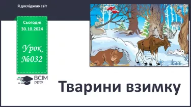 №032 - Тварини взимку.