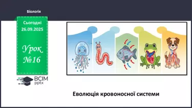 №016 - Еволюція кровоносної системи. №016 - Еволюція кровоносної системи.