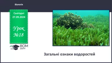 №18 - Загальні ознаки водоростей.