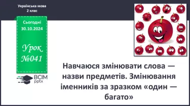 №041 - Навчаюся змінювати слова — назви предметів. Змінювання іменників за зразком «один — багато»